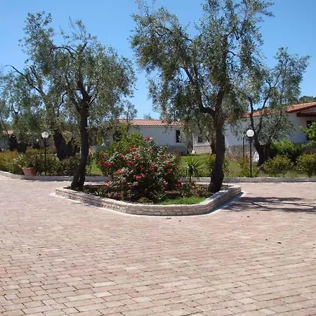 Holiday home Homes In Vieste/apulien 20837